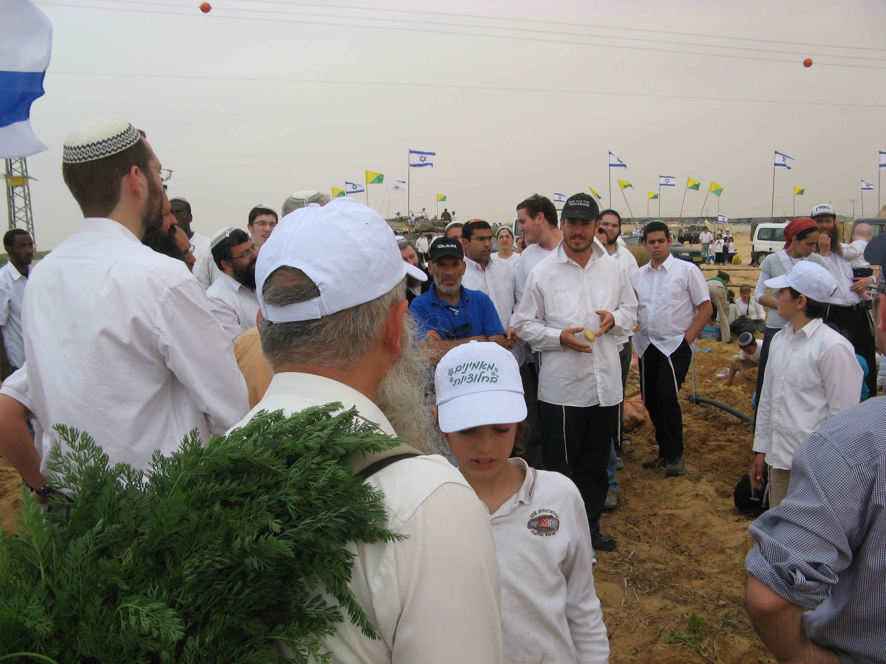 יום העצמאות